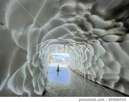 [Toyama / Nagano] Tateyama Kurobe Alpine Route-Snow Tunnel- 80866034