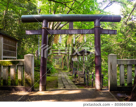 沿著山路排列的鳥居(新潟縣彌彥村由神社) 沿著山路排列的鳥居(新潟縣彌彥村由神社) 80866069
