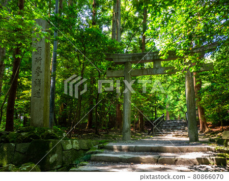 鳥居(新潟縣彌彥村彌彥神社) 鳥居(新潟縣彌彥村彌彥神社) 80866070