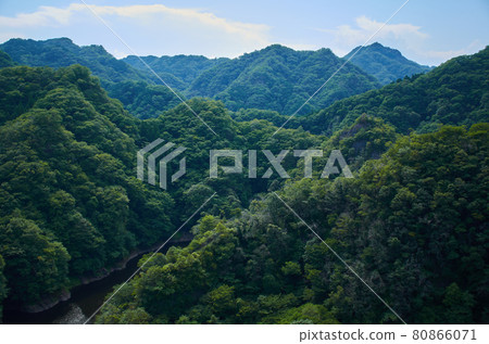 從龍神大吊橋看山 從龍神大吊橋看山 80866071