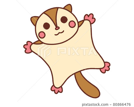 Flying squirrel_3 80866476