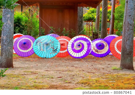 Japanese traditional Japanese umbrella 80867041
