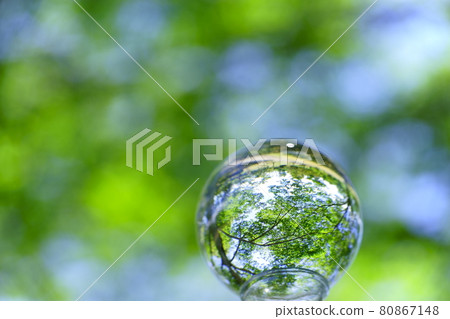 涼爽的感覺,仲夏森林鏡頭球1 涼爽的感覺,仲夏森林鏡頭球1 80867148