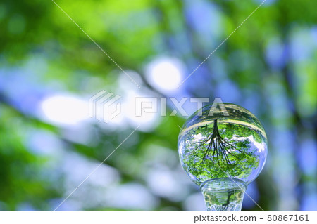 涼爽的感覺，仲夏森林鏡頭球10個 80867161