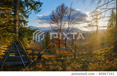 Late autumn mountain pre sunset scene with snow covered tops in far. Picturesque traveling, seasonal, nature and countryside beauty concept scene. Carpathians, Ukraine. 80867191