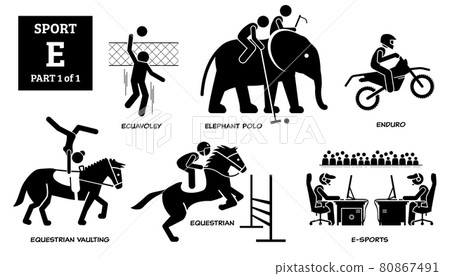 Sport games alphabet E vector icons pictogram. Ecuavoley, elephant polo, enduro, equestrian vaulting, equestrian, and E-sport. Sport games alphabet E vector icons pictogram. Ecuavoley, elephant polo, enduro, equestrian vaulting, equestrian, and E-sport. 80867491