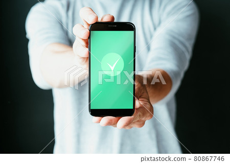 green pass approved status man phone checkmark green pass approved status man phone checkmark 80867746