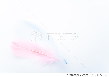 Pink feathers and blue feathers 80867762