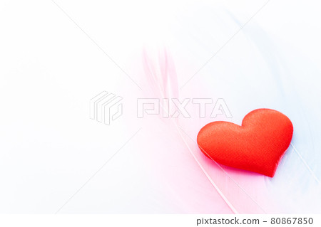 Pink feathers, blue feathers and heart symbol Pink feathers, blue feathers and heart symbol 80867850