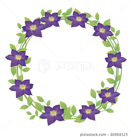 鐵線蓮花卉圖框 80868325