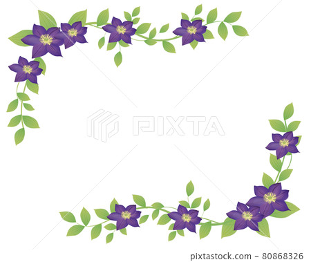 鐵線蓮花卉圖框 鐵線蓮花卉圖框 80868326