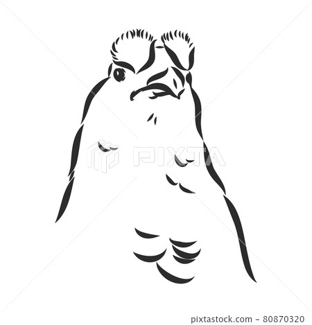 black and white bird capercaillie capercaillie bird vector sketch black and white bird capercaillie capercaillie bird vector sketch 80870320