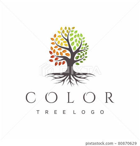 Vibrant tree logo design, root vector. Tree of life logo design inspiration Vibrant tree logo design, root vector. Tree of life logo design inspiration 80870629