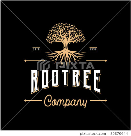 Abstract Vibrant Oak Banyan tree logo design, tree and root vector. Tree of life logo design inspiration Abstract Vibrant Oak Banyan tree logo design, tree and root vector. Tree of life logo design inspiration 80870644