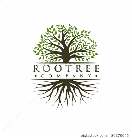 Vibrant tree logo design, tree and root vector. Tree of life logo design inspiration Vibrant tree logo design, tree and root vector. Tree of life logo design inspiration 80870645