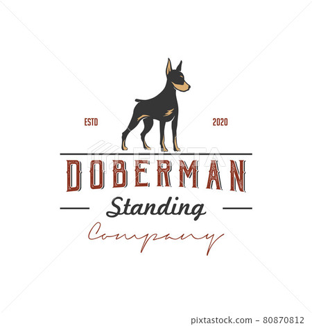 Silhouette of a standing doberman dog with retro vintage style logo design 80870812
