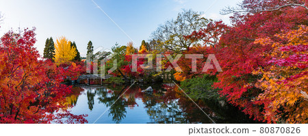 Kyoto Eikando's Houjou Pond and Autumn Leaves 80870826