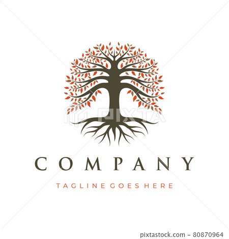 Tree of Life, Oak Banyan tree logo design template Tree of Life, Oak Banyan tree logo design template 80870964