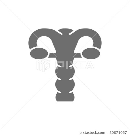 Uterus, cervix, ovaries, vagina, human organ grey icon. Uterus, cervix, ovaries, vagina, human organ grey icon. 80871067