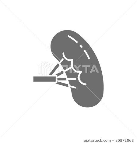 Spleen, human organ grey icon. Isolated on white background Spleen, human organ grey icon. Isolated on white background 80871068