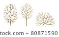 Fallen trees and bush illustration set. Hand drawn no leaf autumn and winter plants. Watercolor illustration. Autumn fall season trees and bush single elements. Natural park and forest objects 80871590