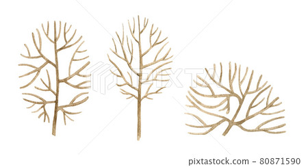 Fallen trees and bush illustration set. Hand drawn no leaf autumn and winter plants. Watercolor illustration. Autumn fall season trees and bush single elements. Natural park and forest objects 80871590