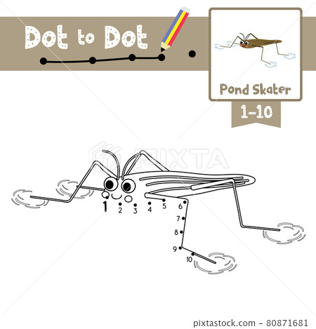Dot to dot educational game and Coloring book Pond Skater walking on water animal cartoon character vector illustration Dot to dot educational game and Coloring book Pond Skater walking on water animal cartoon character vector illustration 80871681