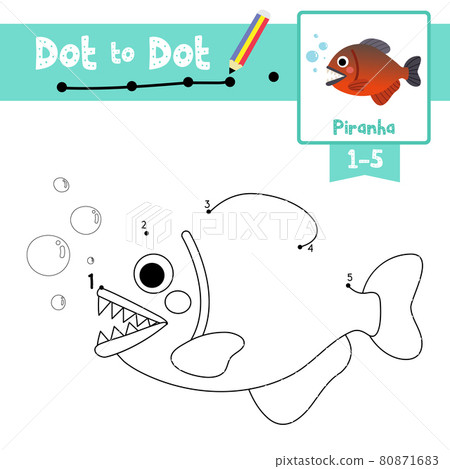 Dot to dot educational game and Coloring book Piranha fish animal cartoon character vector illustration Dot to dot educational game and Coloring book Piranha fish animal cartoon character vector illustration 80871683