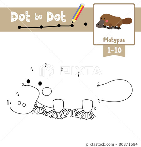 Dot to dot educational game and Coloring book Platypus animal cartoon character vector illustration 80871684