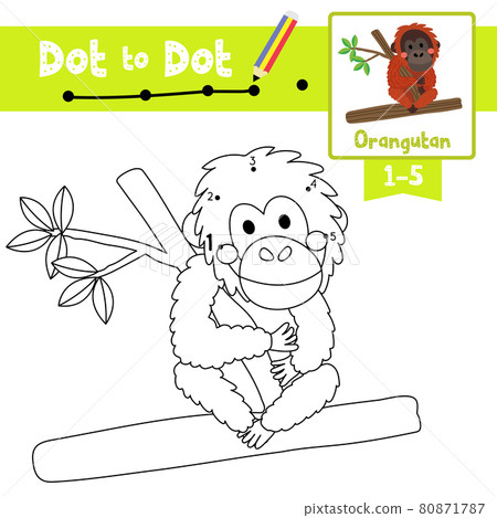 Dot to dot educational game and Coloring book Orangutan sitting on branch animal cartoon character vector illustration 80871787