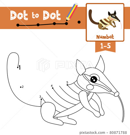 Dot to dot educational game and Coloring book Numbat animal cartoon character vector illustration 80871788