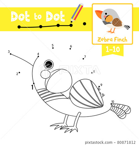 Dot to dot educational game and Coloring book Zebra Finch bird animal cartoon character vector illustration 80871812