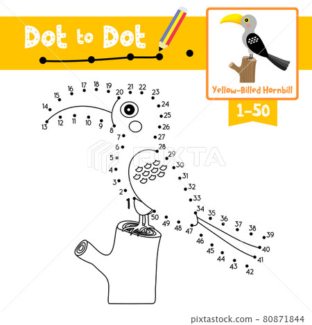 Dot to dot educational game and Coloring book Yellow Billed Hornbill bird animal cartoon character vector illustration Dot to dot educational game and Coloring book Yellow Billed Hornbill bird animal cartoon character vector illustration 80871844