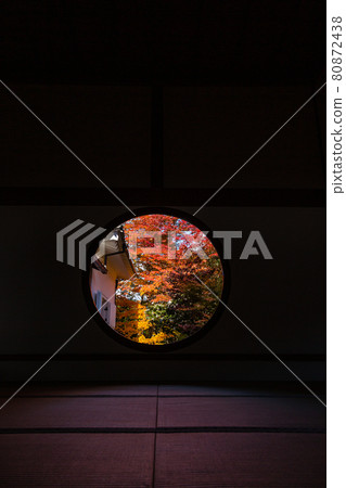 Autumn leaves seen from the window of enlightenment of Genko-an in Kyoto Autumn leaves seen from the window of enlightenment of Genko-an in Kyoto 80872438