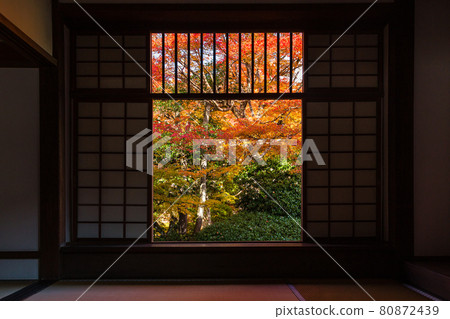 Autumn leaves seen from the lost window of Genko-an, Kyoto 80872439
