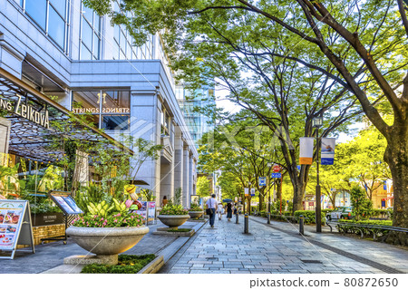 東京城市景觀表參道 80872650