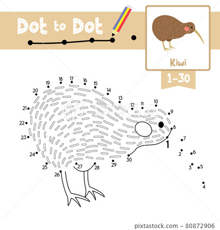 Dot to dot educational game and Coloring book Kiwi bird animal cartoon character vector illustration Dot to dot educational game and Coloring book Kiwi bird animal cartoon character vector illustration 80872906