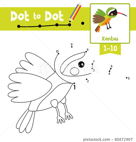 Dot to dot educational game and Coloring book Flying Xantus Hummingbird animal cartoon character vector illustration Dot to dot educational game and Coloring book Flying Xantus Hummingbird animal cartoon character vector illustration 80872907