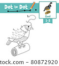 Dot to dot educational game and Coloring book Quail bird perching on wood log animal cartoon character vector illustration 80872920