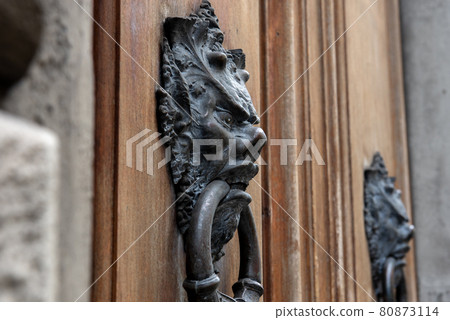 佛羅倫斯 佛羅倫斯 80873114