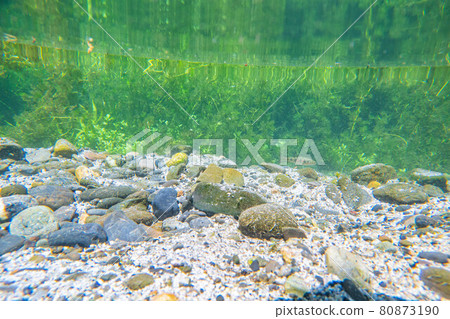 [Summer material] Waterside and underwater material [Nagano Prefecture] 80873190