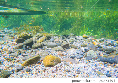 [Summer material] Waterside and underwater material [Nagano Prefecture] 80873191