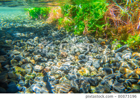 [Summer material] Waterside and underwater material [Nagano Prefecture] 80873196