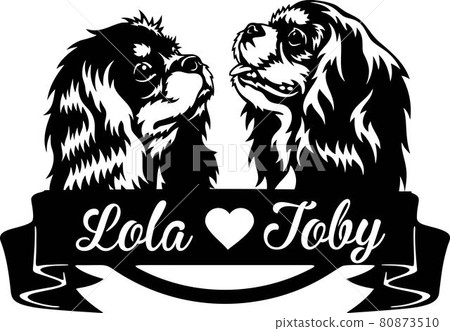 Cavalier King Charles Spaniel - Peeking Dogs - breed face head isolated on white 80873510