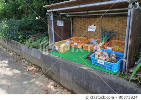 Unmanned sales office in the farmer's garden Direct sales office Production direct sales Unmanned sales office in the farmer's garden Direct sales office Production direct sales 80873924