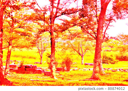 公園 公園 80874012