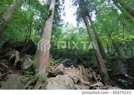 Mountain trail to the summit of Mt. Tsukuba in Ibaraki Prefecture Mountain trail to the summit of Mt. Tsukuba in Ibaraki Prefecture 80874233