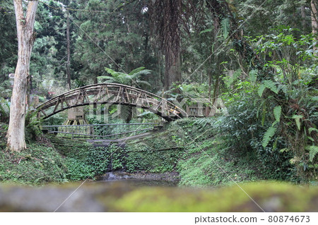 Forest path Forest path 80874673
