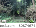 Bamboo forest trail 80874674