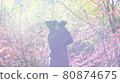 Sakura and Photographer 80874675